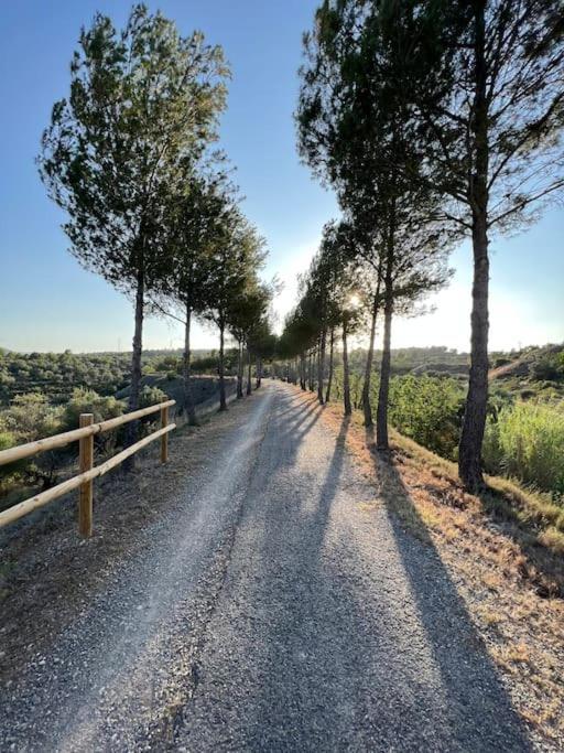 Apto. Rural Cielo. Al Lado Torre 赫里卡 外观 照片